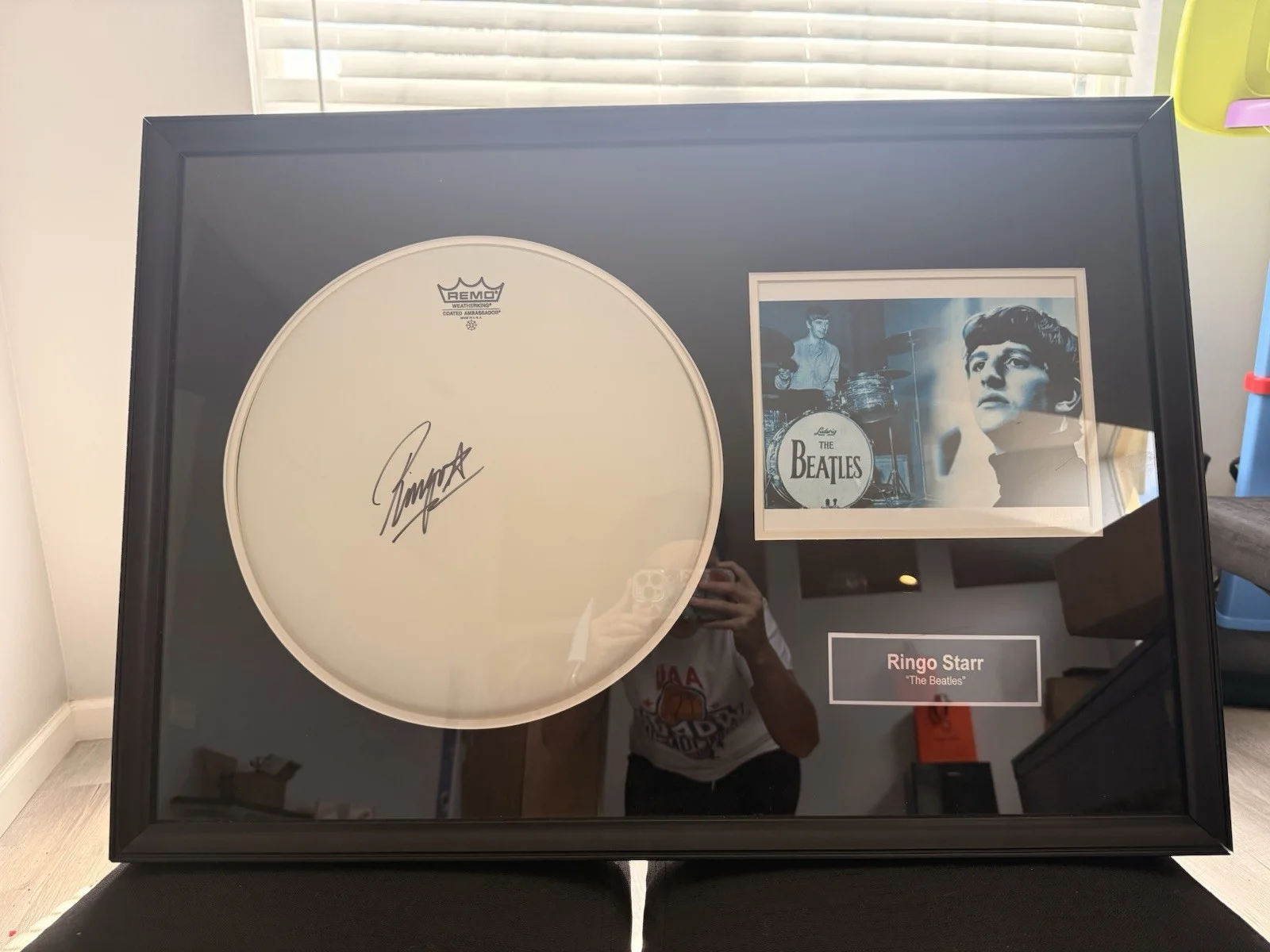 Remo Drumhead Signed by Ringo Starr The Beatles Framed with COA R&M Real, image 2