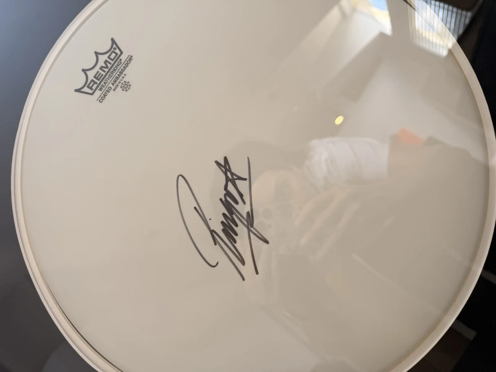 Remo Drumhead Signed by Ringo Starr The Beatles Framed with COA R&M Real, image 3