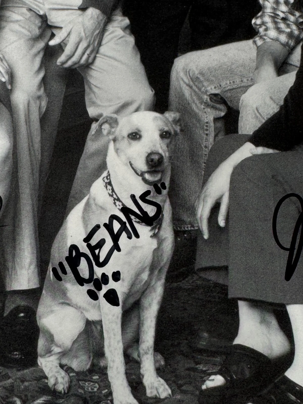 8X10 BLACK & WHITE PHOTO OF CAST OF OH GROW UP SIGNED AUTOGRAPH ALL CAST, изображение 5