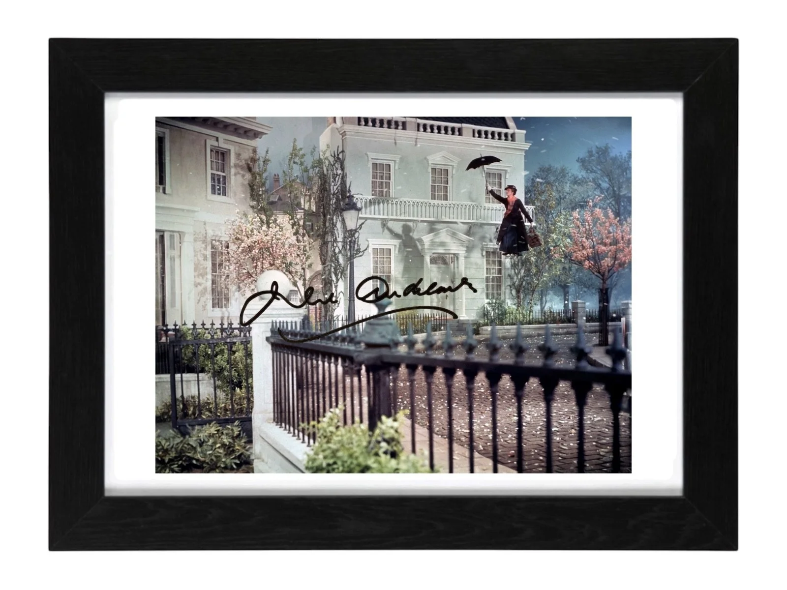 Julie Andrew’s Signed Autograph PHOTO Pre Print / Framed Film, image 3