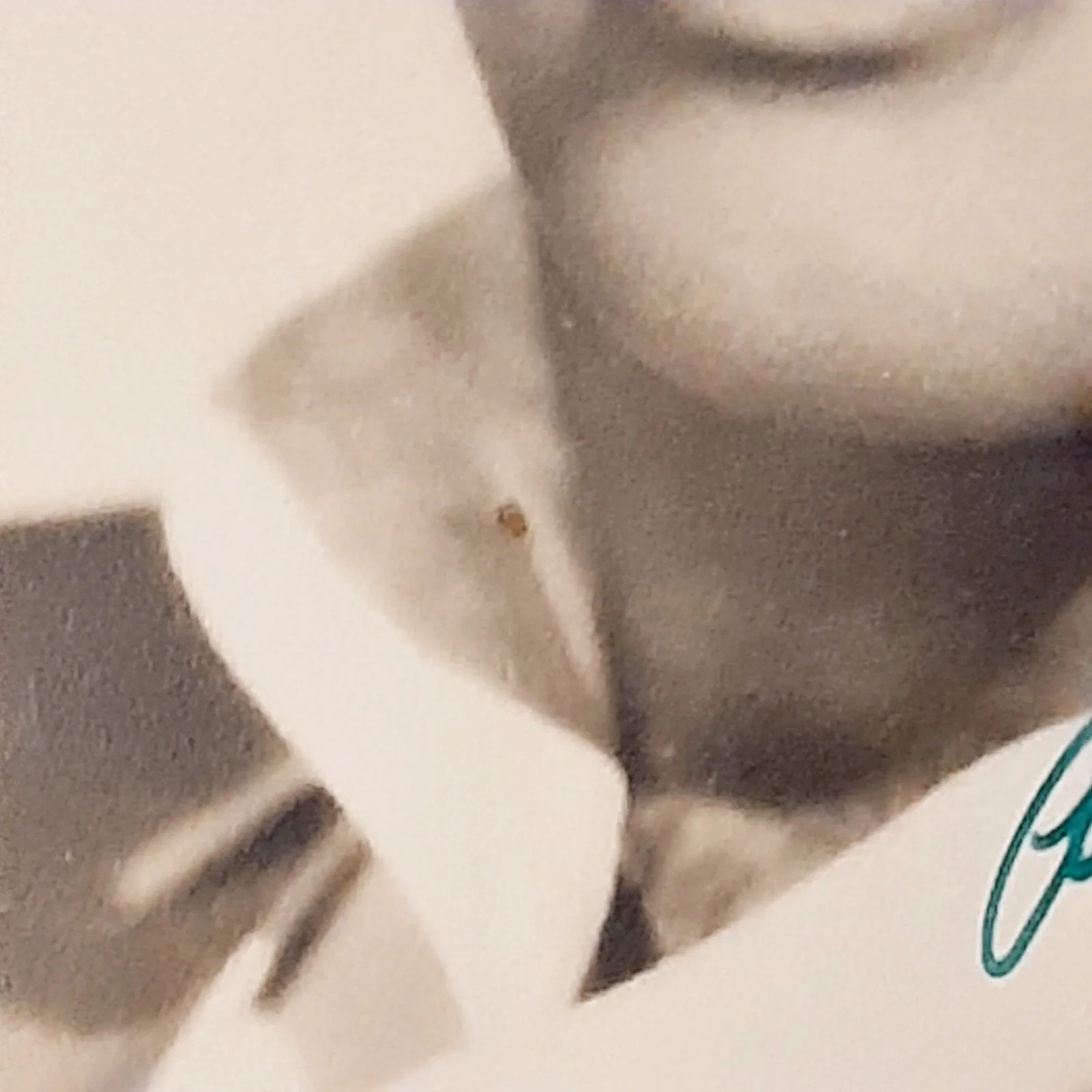Eric Feldary — Movie Actor Eric Feldary Signed Autographed Promo Photo For Whom the Bell Tolls, изображение 5