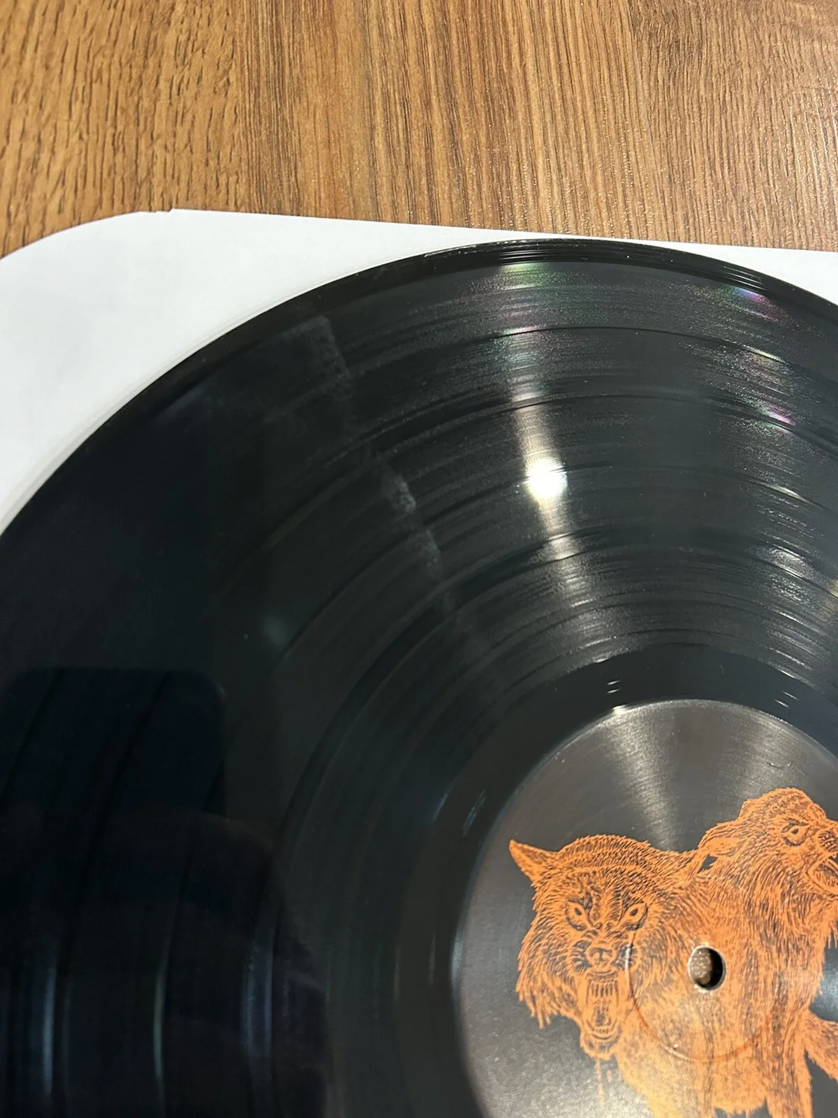 Signed Brandi Carlile Shooter Jennings Hanseroth Tanya Tucker vinyl record music, изображение 3