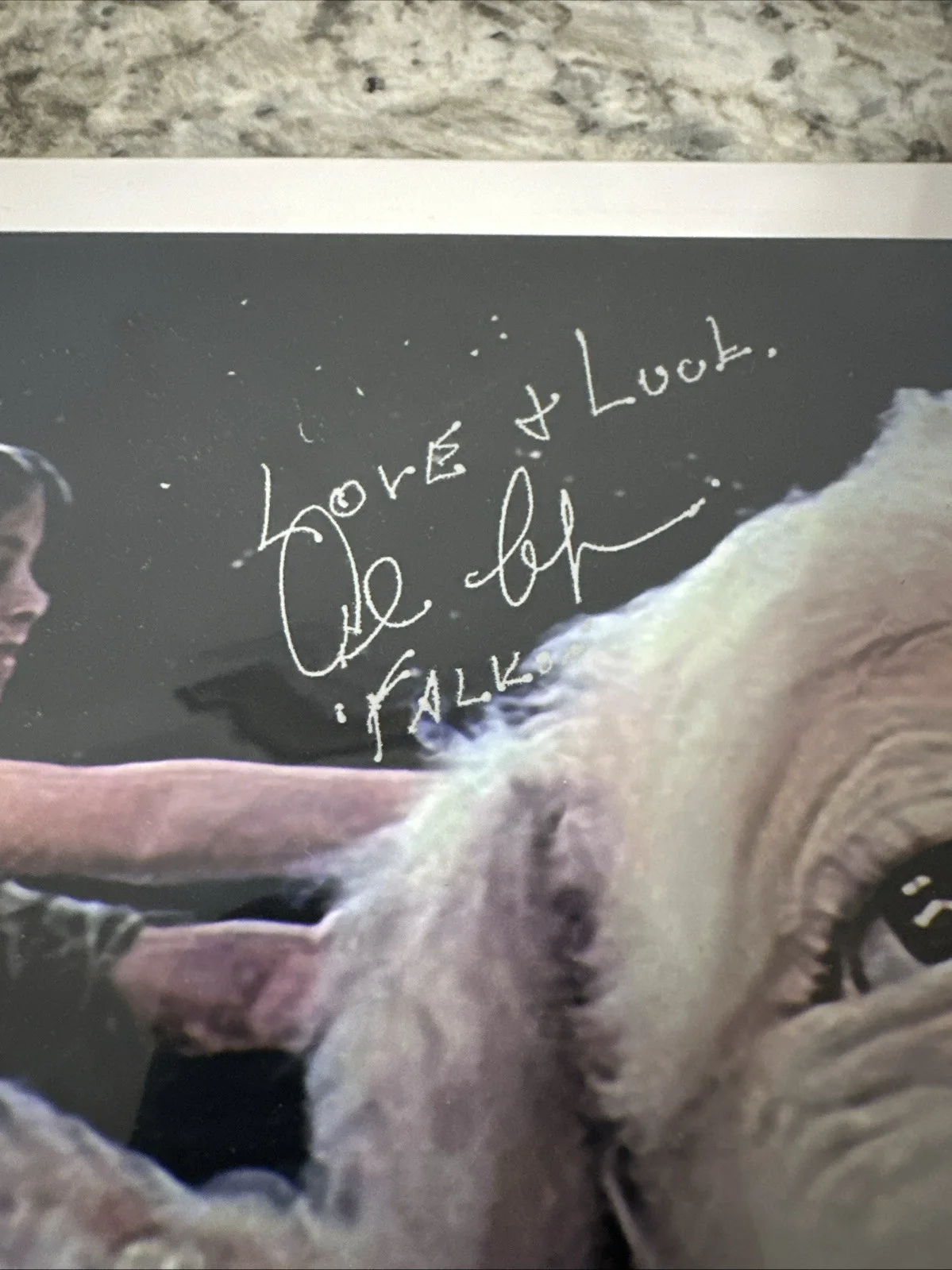 ALAN OPPENHEIMER — ALAN OPPENHEIMER Authentic Signed "NEVERENDING STORY FALKOR" 8x10 Photo No COA, изображение 3