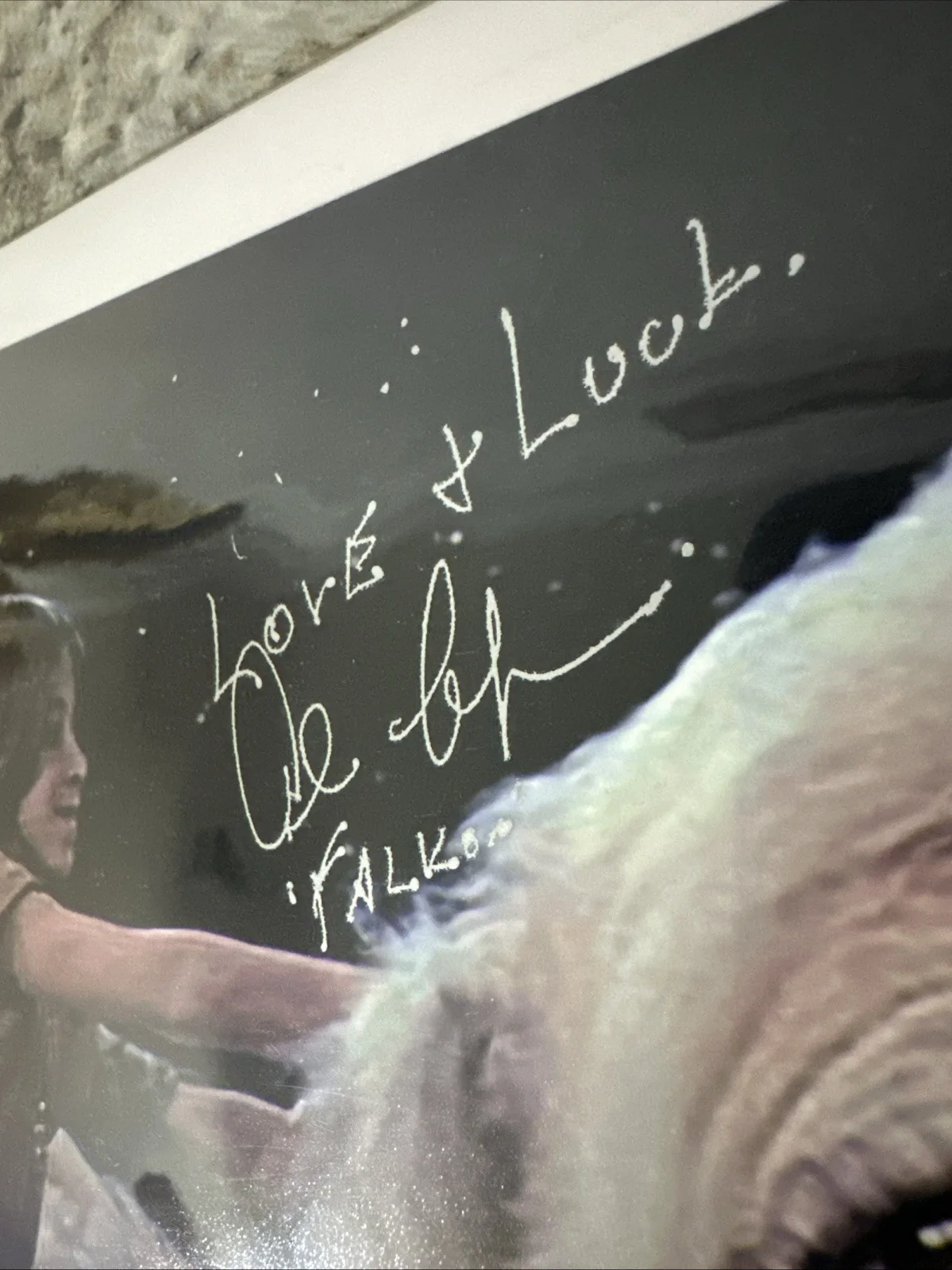 ALAN OPPENHEIMER — ALAN OPPENHEIMER Authentic Signed "NEVERENDING STORY FALKOR" 8x10 Photo No COA, изображение 4