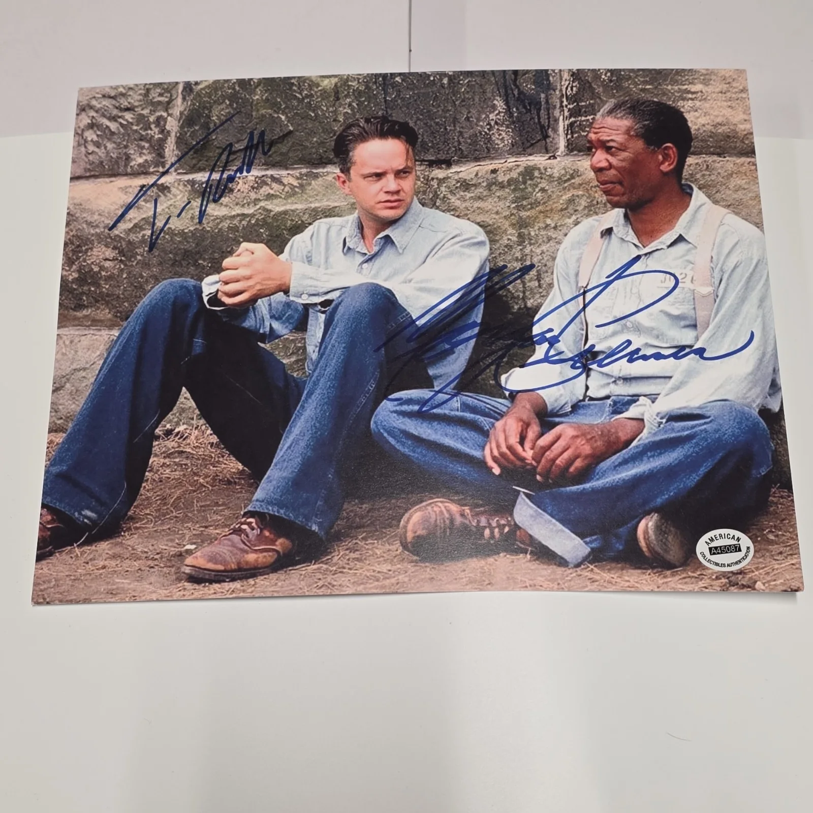 Tim Robbins, Morgan Freeman — ACA Tim Robbins & Morgan Freeman Signed Shawshank Redemption 8x10 Photo