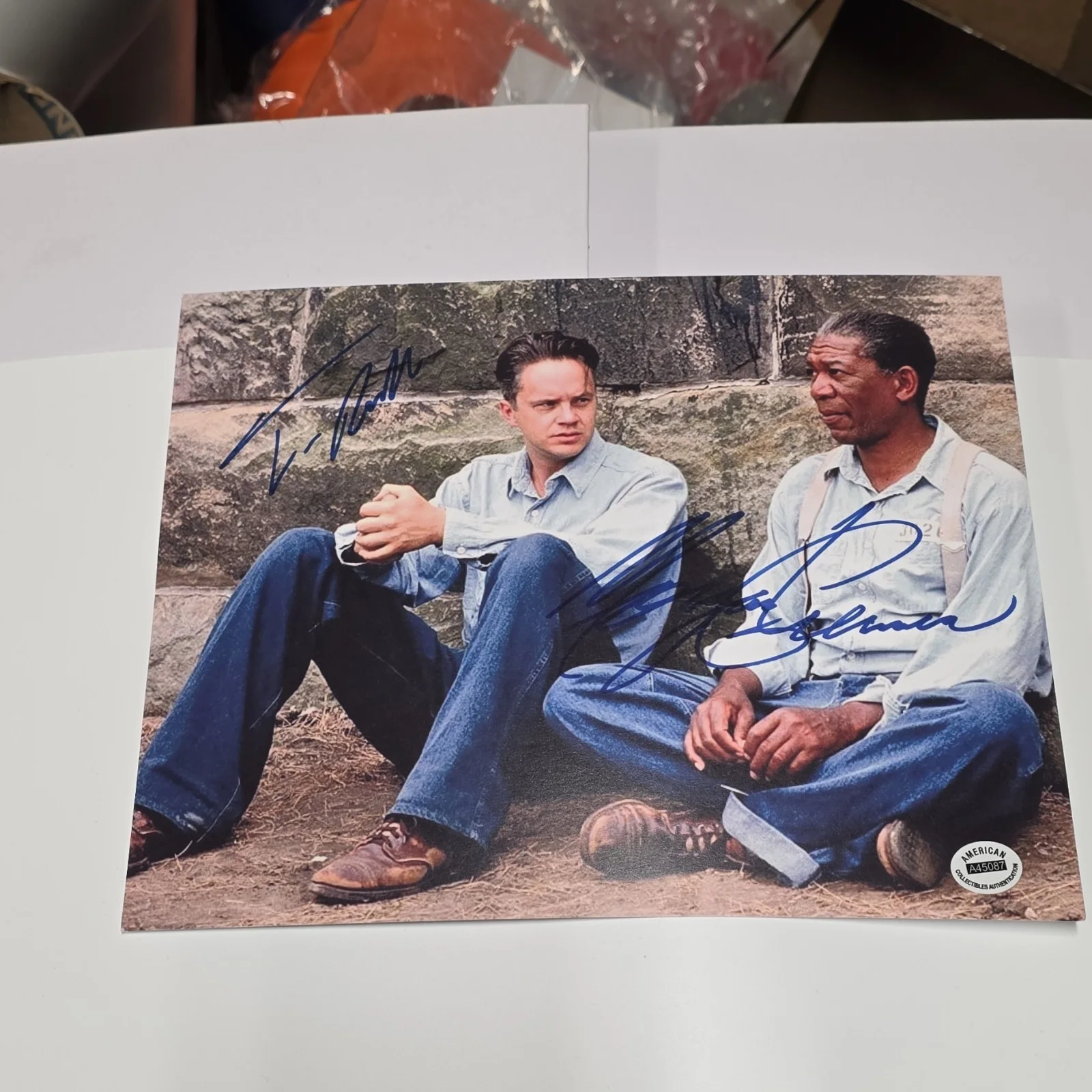 Tim Robbins, Morgan Freeman — ACA Tim Robbins & Morgan Freeman Signed Shawshank Redemption 8x10 Photo, изображение 5