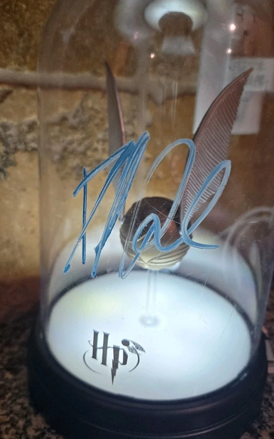Daniel Radcliffe — Daniel Radcliffe Signed Auto Harry Potter Golden Snitch Light w Online COA, image 3