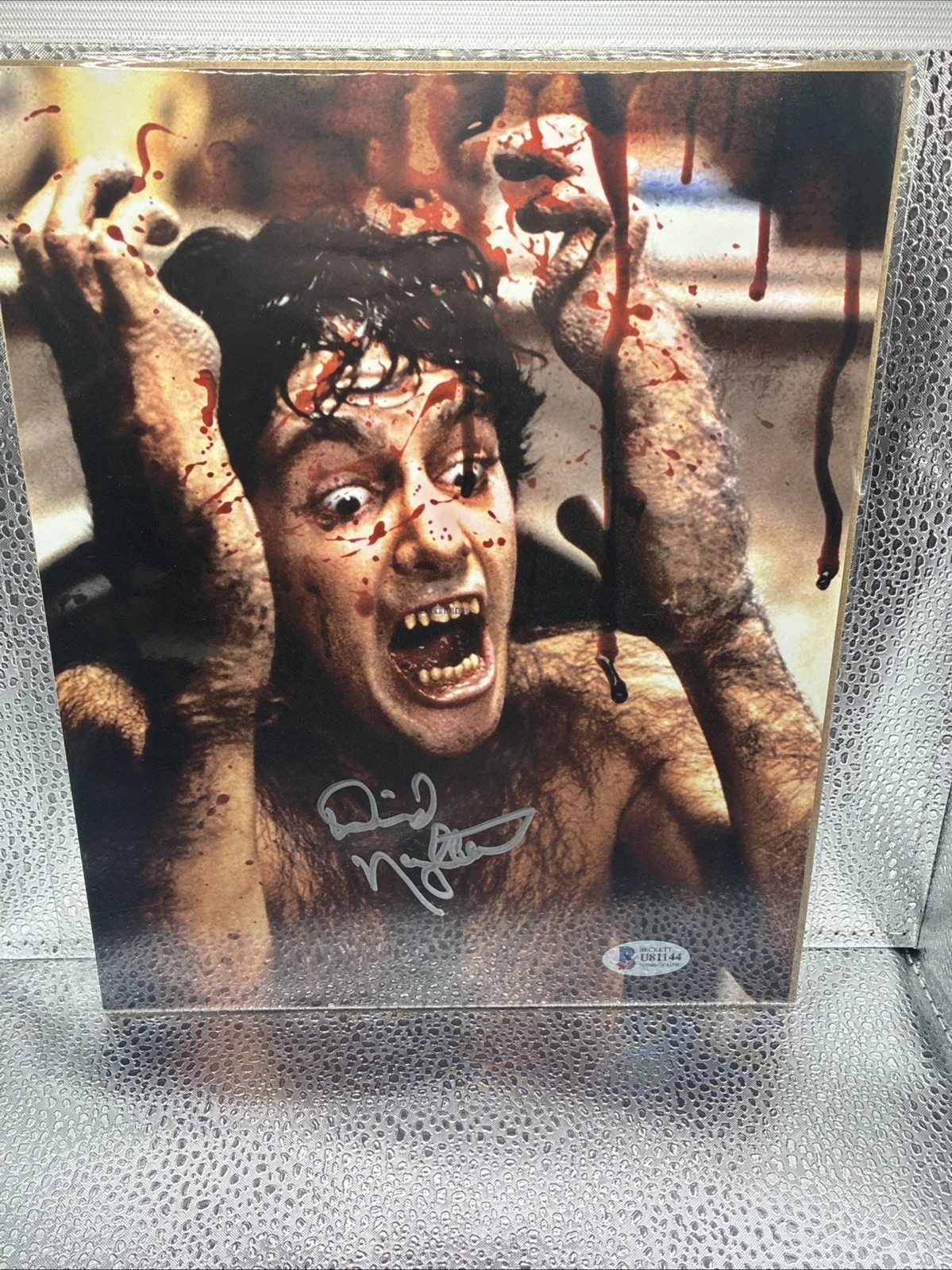 David Naughton — David Naughton Signed 8x10 Photo Beckett BAS COA, American Wolf In London