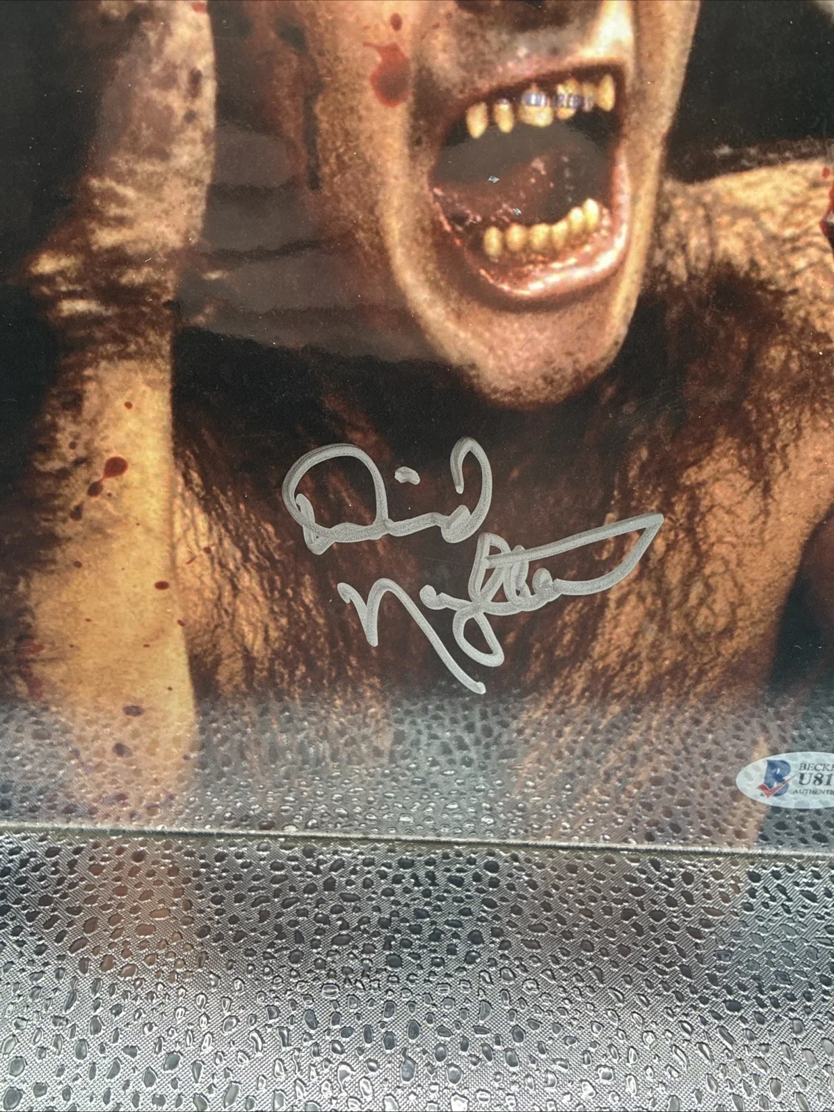 David Naughton — David Naughton Signed 8x10 Photo Beckett BAS COA, American Wolf In London, image 2