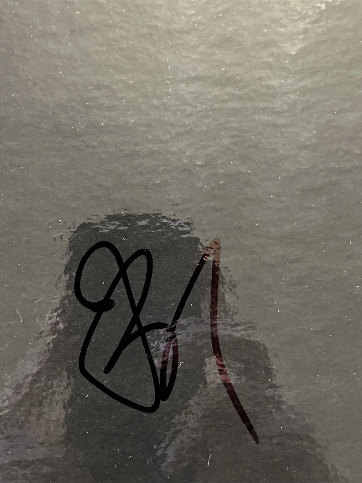Joan Baez Signed In Concert Vinyl Record JSA Coa Autographed, image 2