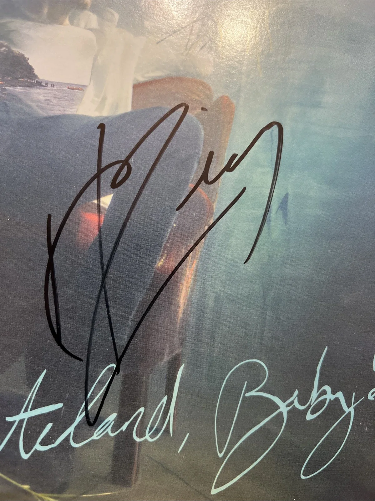 Hozier Signed Wasteland Baby Vinyl Record JSA Coa Autographed, изображение 2