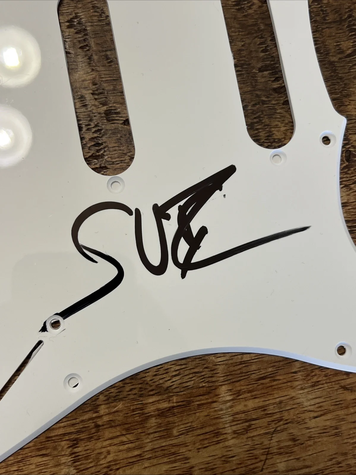 Steven Van Zandt Signed Guitar Pickguard JSA Coa Autographed E Street Band, image 2