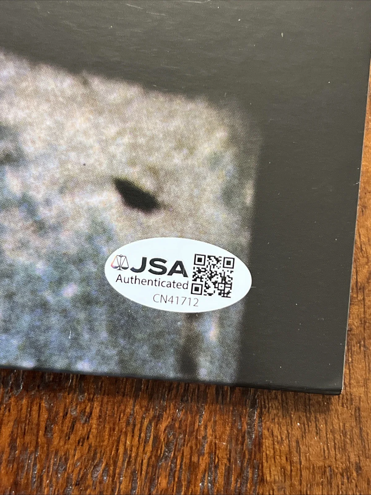 Gordon Gano Signed Hallowed Ground Vinyl Album JSA Coa Violent Femmes, изображение 3