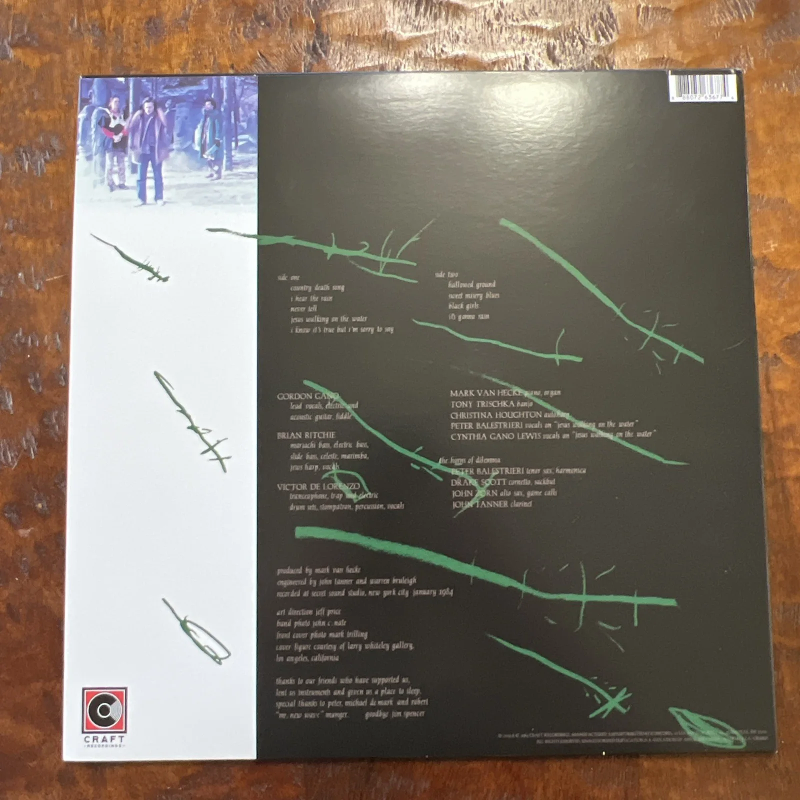 Gordon Gano Signed Hallowed Ground Vinyl Album JSA Coa Violent Femmes, изображение 4