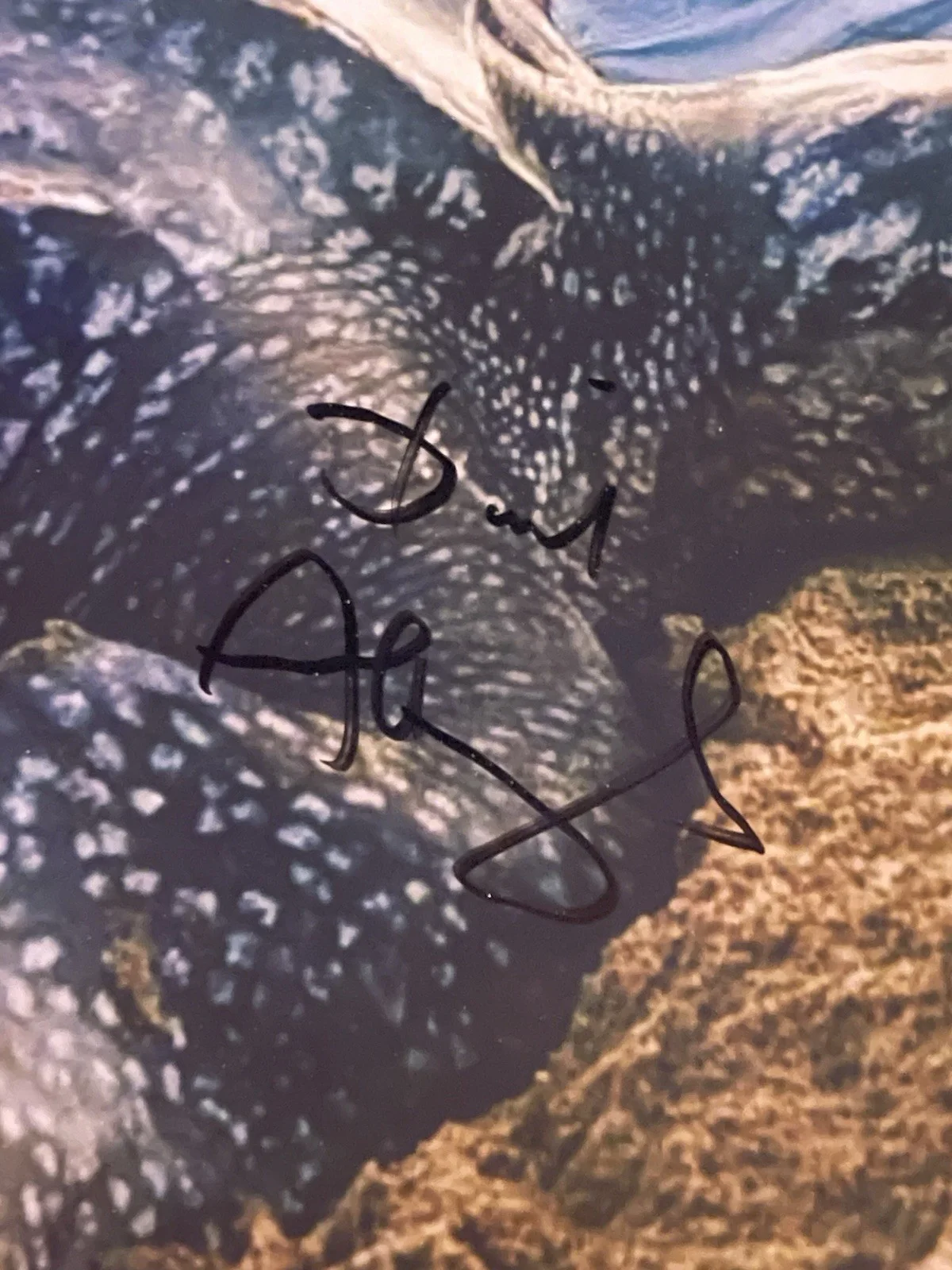 BAS COA SIR DAVID ATTENBOROUGH SIGNED 8x10 PHOTO BECKETT, image 2