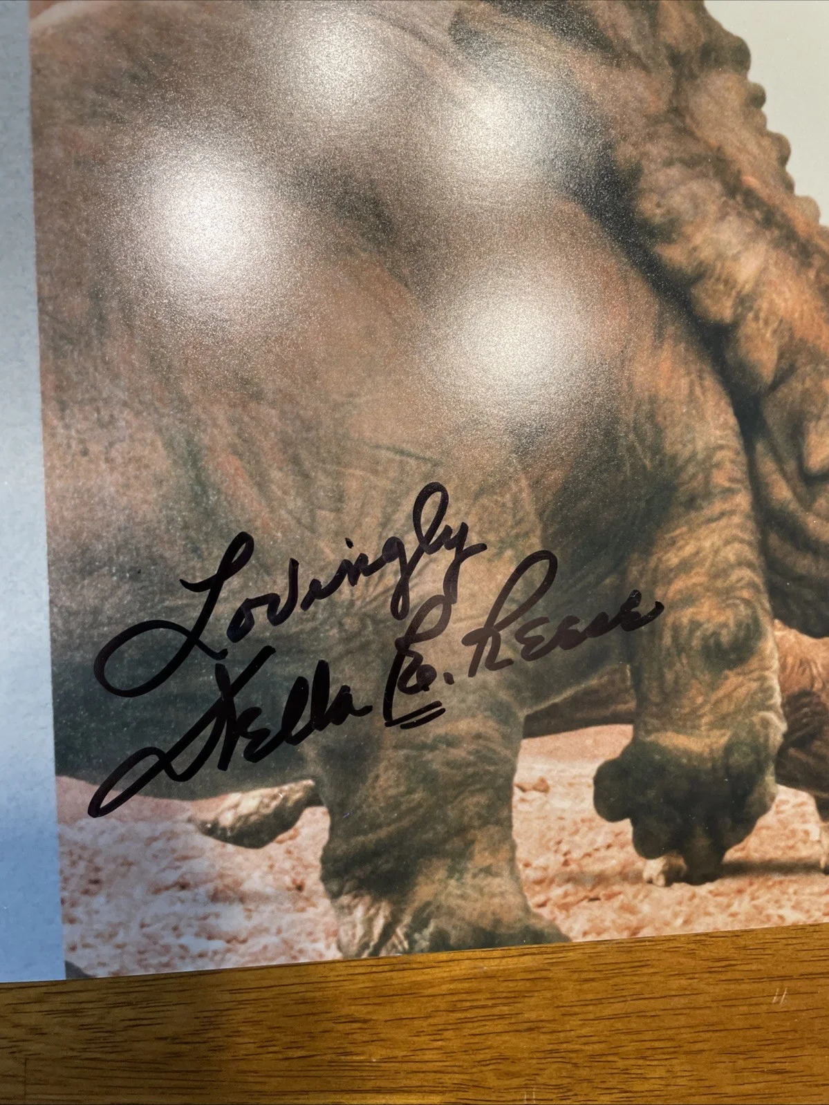 DINOSAUR MOVIE PHOTOGRAPH SIGNED Della Reese RIP cartoon Eema Rare Autograph, изображение 3
