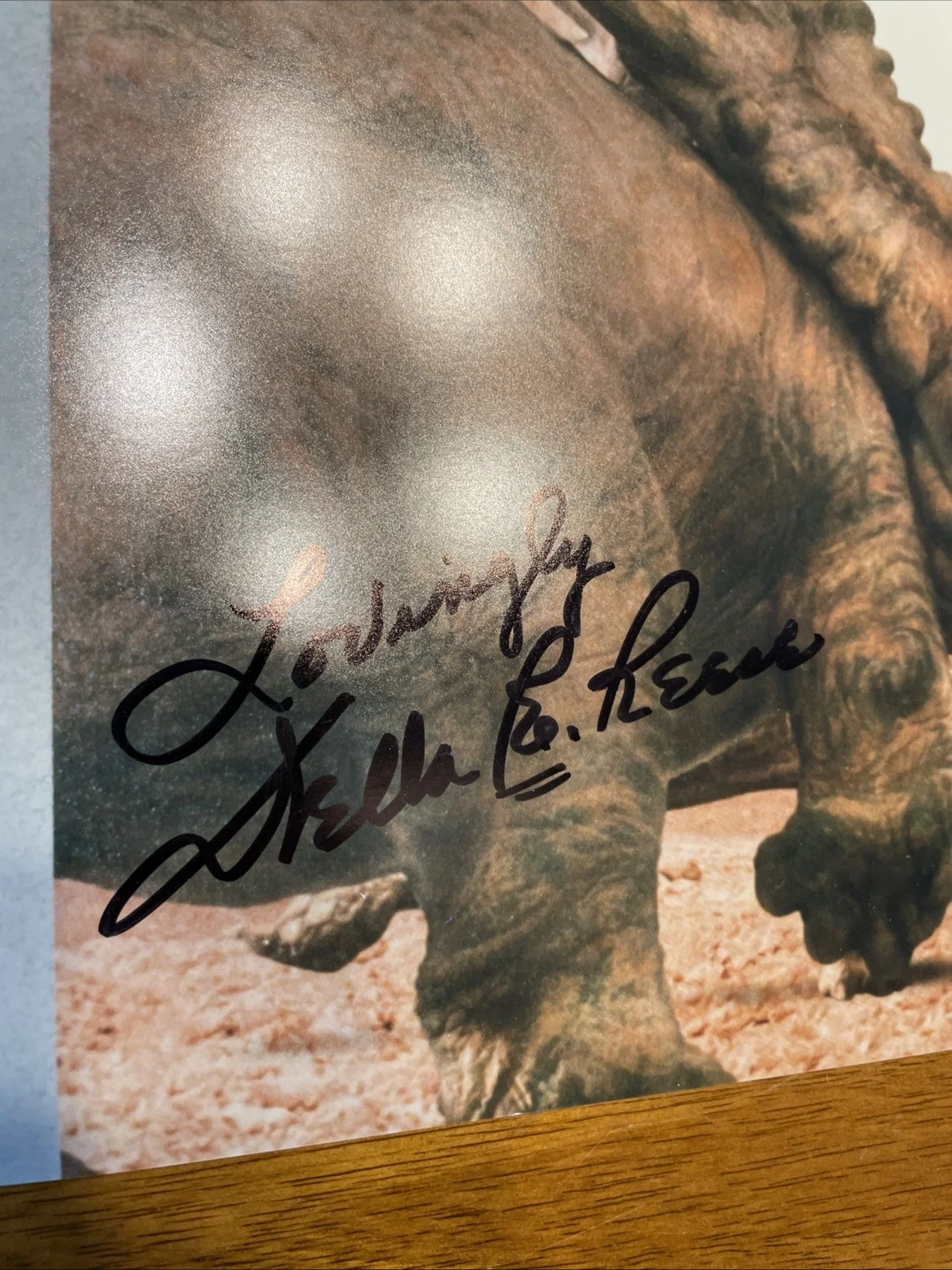 DINOSAUR MOVIE PHOTOGRAPH SIGNED Della Reese RIP cartoon Eema Rare Autograph, изображение 4