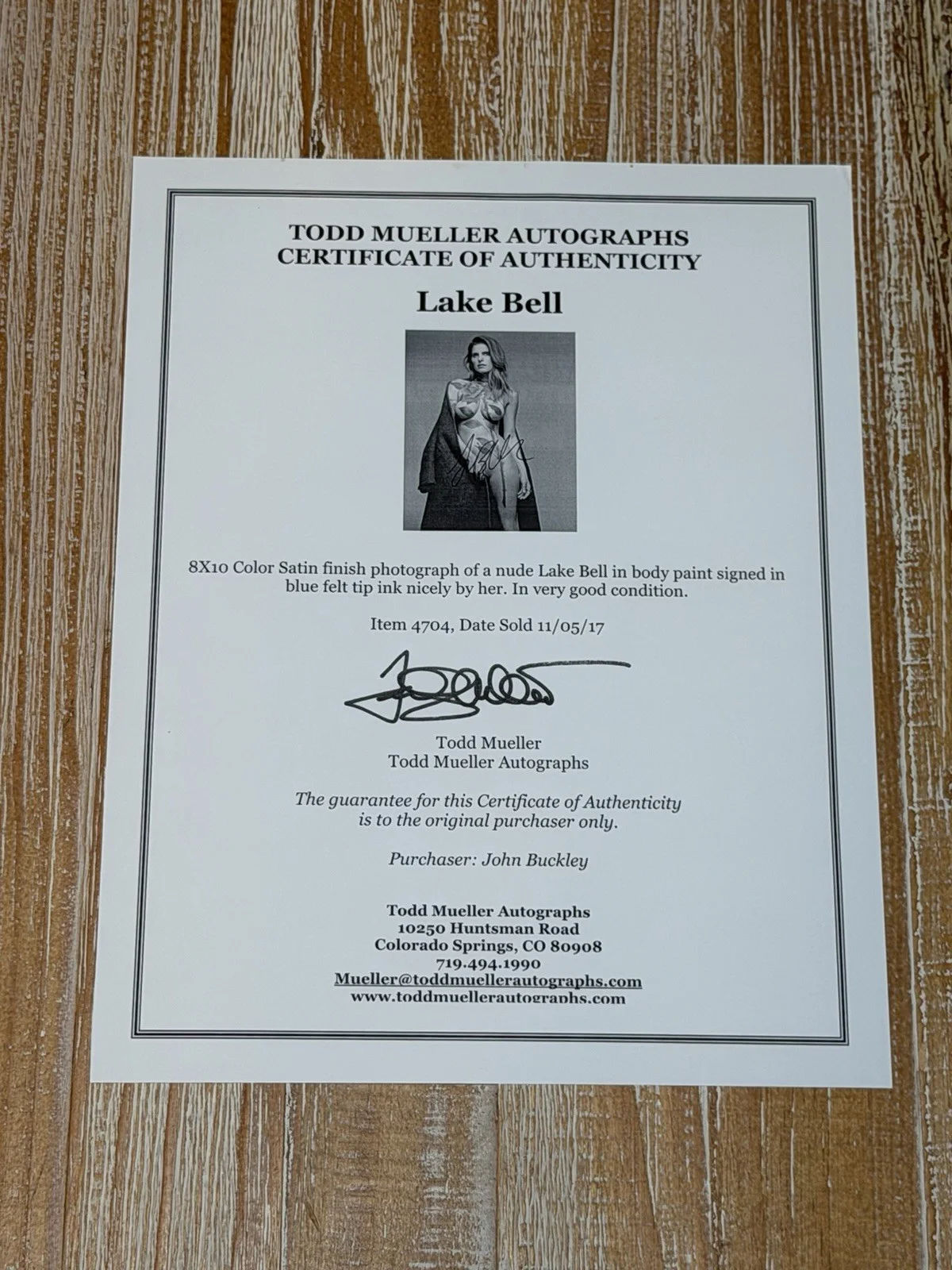 Lake Bell — Lake Bell Actress Hand Signed Autograph 8x10 Photo Certificate of Authenticity, image 3