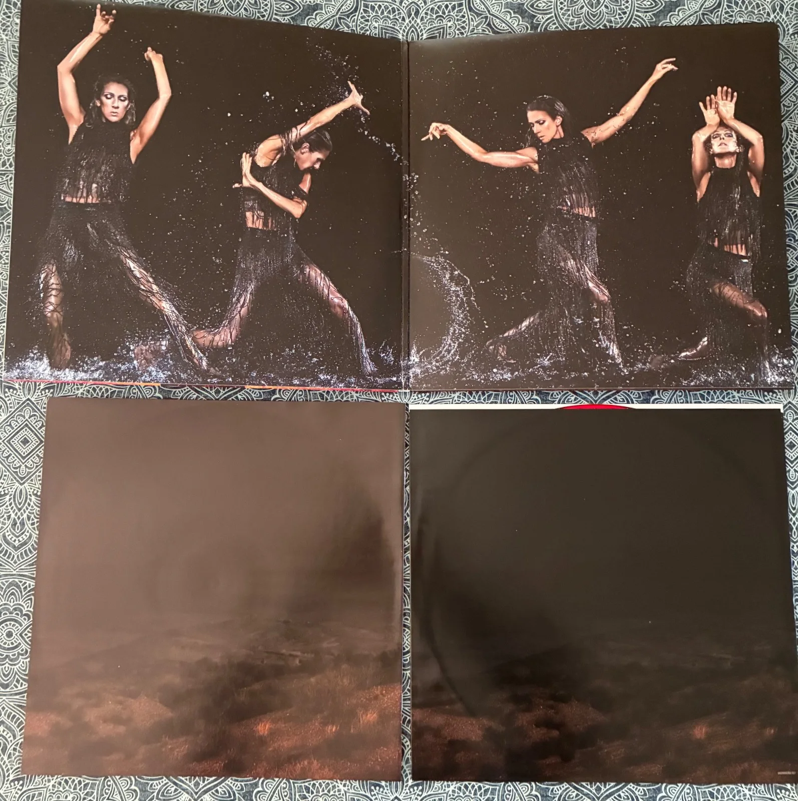 Celine Dion Signed Courage Album Authentic Autographed Limited Edition Red Vinyl, image 2