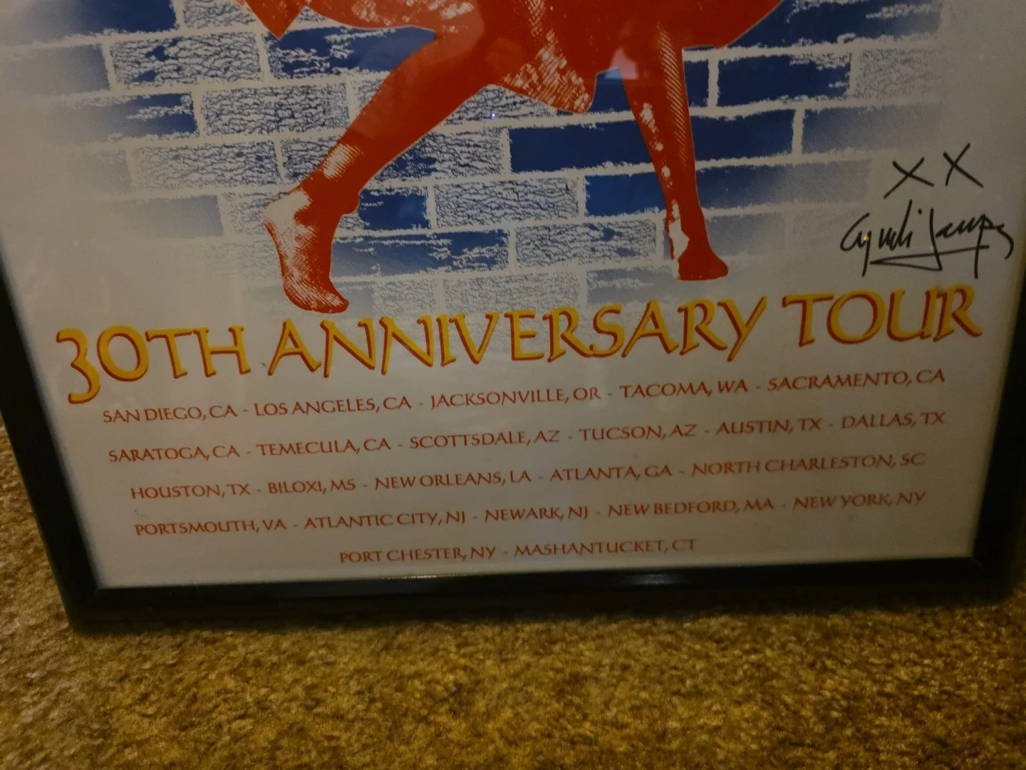 Cyndi Lauper 30th Anniversary Tour Poster Framed and Signed by Artist, image 2
