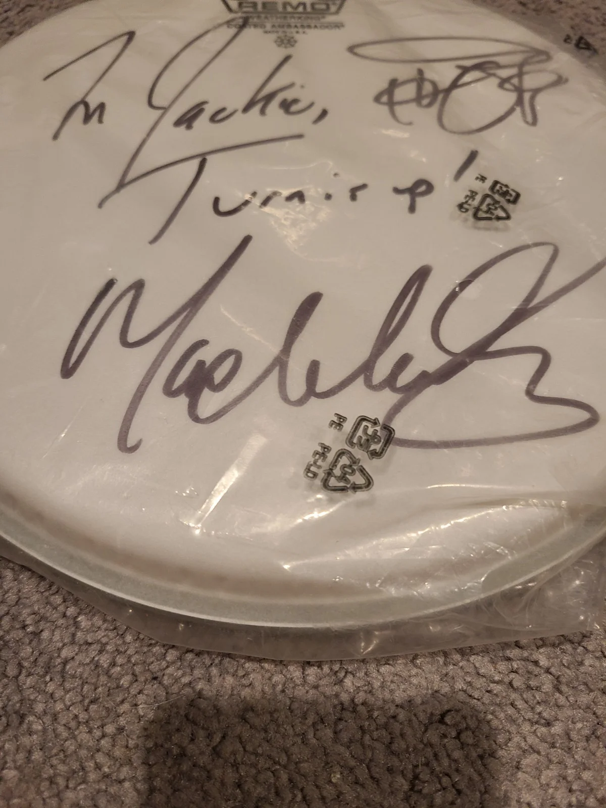 MAX WEINBERG SIGNED AUTOGRAPHED 10” DRUMHEAD E STREET BAND HOF RARE Springsteen, изображение 2