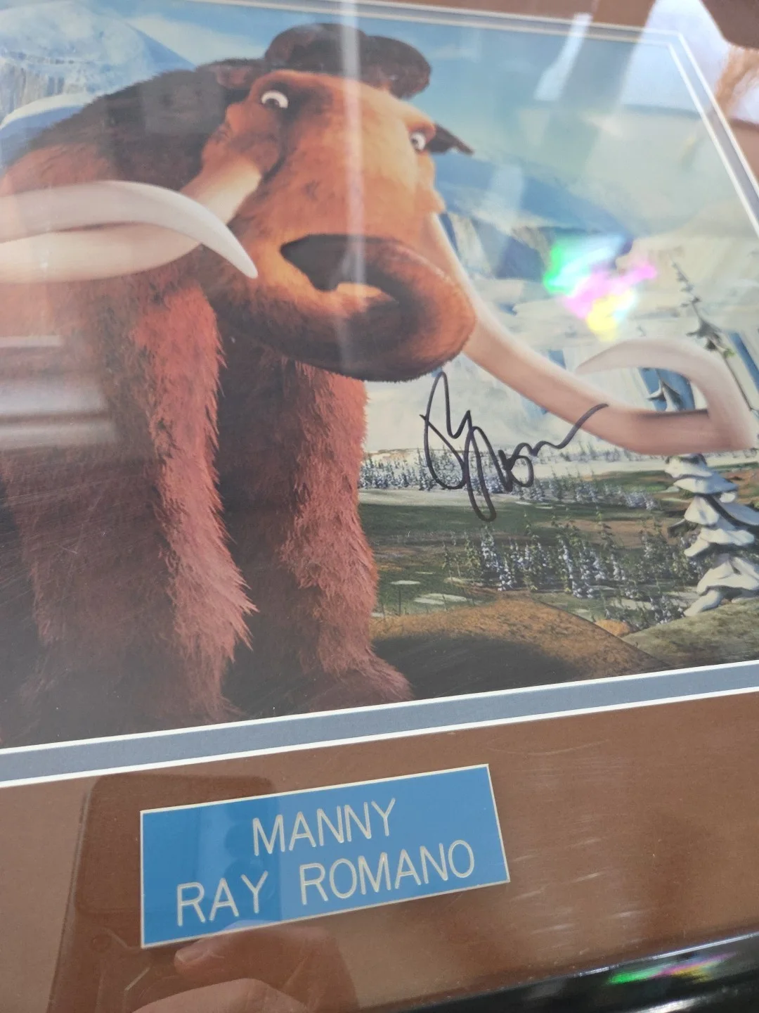 Actor Ray Romano signed Ice Age 11x14 Photo autograph PSA/DNA COA. FRAMED MATTED, image 3