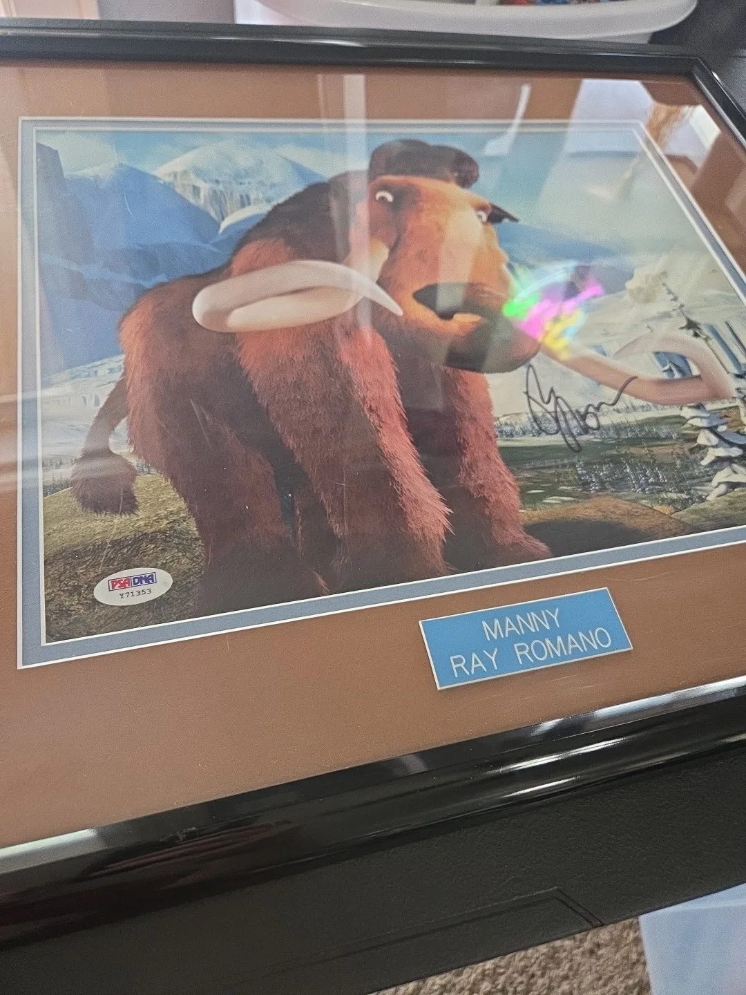 Actor Ray Romano signed Ice Age 11x14 Photo autograph PSA/DNA COA. FRAMED MATTED, image 5
