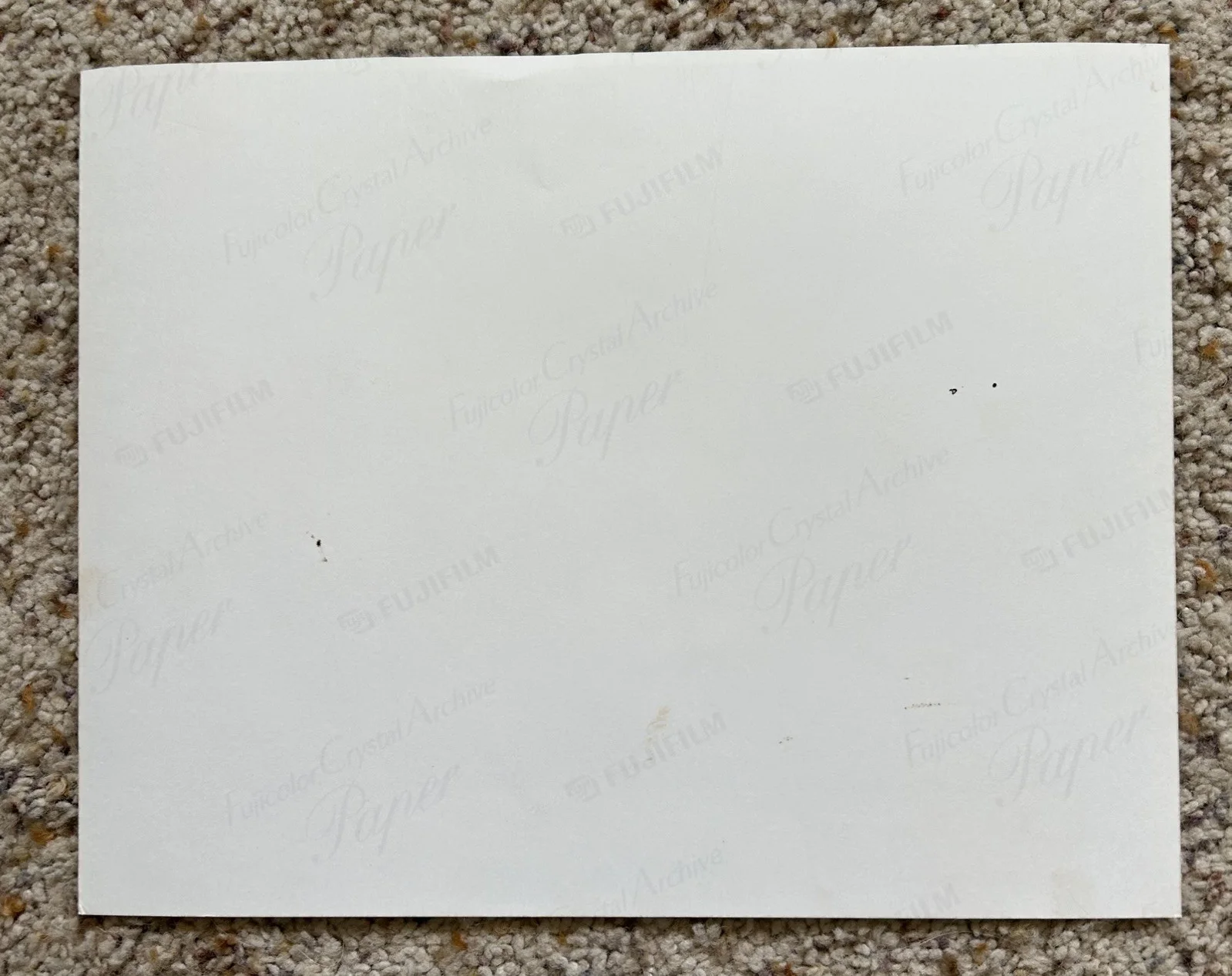 SALIVA - ENTIRE BAND SIGNED 8X10 PHOTO including Wayne Swinny R.I.P., изображение 2