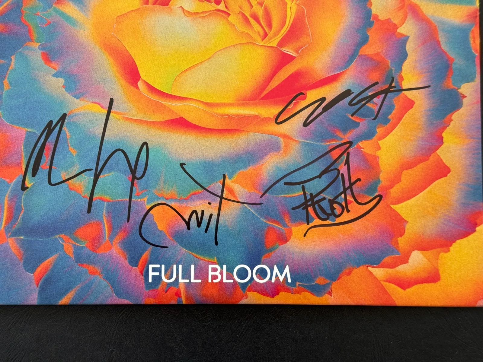 NICK HEXUM,P-NUT,SEXTON,MAHONEY SIGNED 311 FULL BLOOM VINYL BECKETT FULL LETTER, image 2