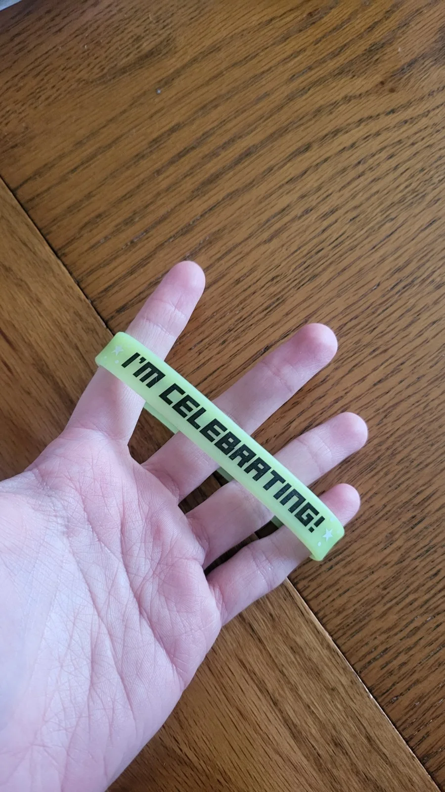 Universal Studios Men In Black I'm Celebrating Wrist Band, image 2
