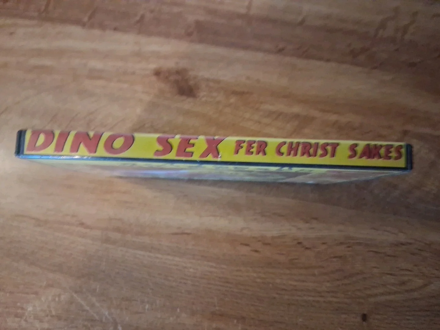 DINO SEX FER CHRIIST SAKES DVD/DVR RARE SIGNED GG ALLIN MURDER JENKINS PUNK, изображение 2