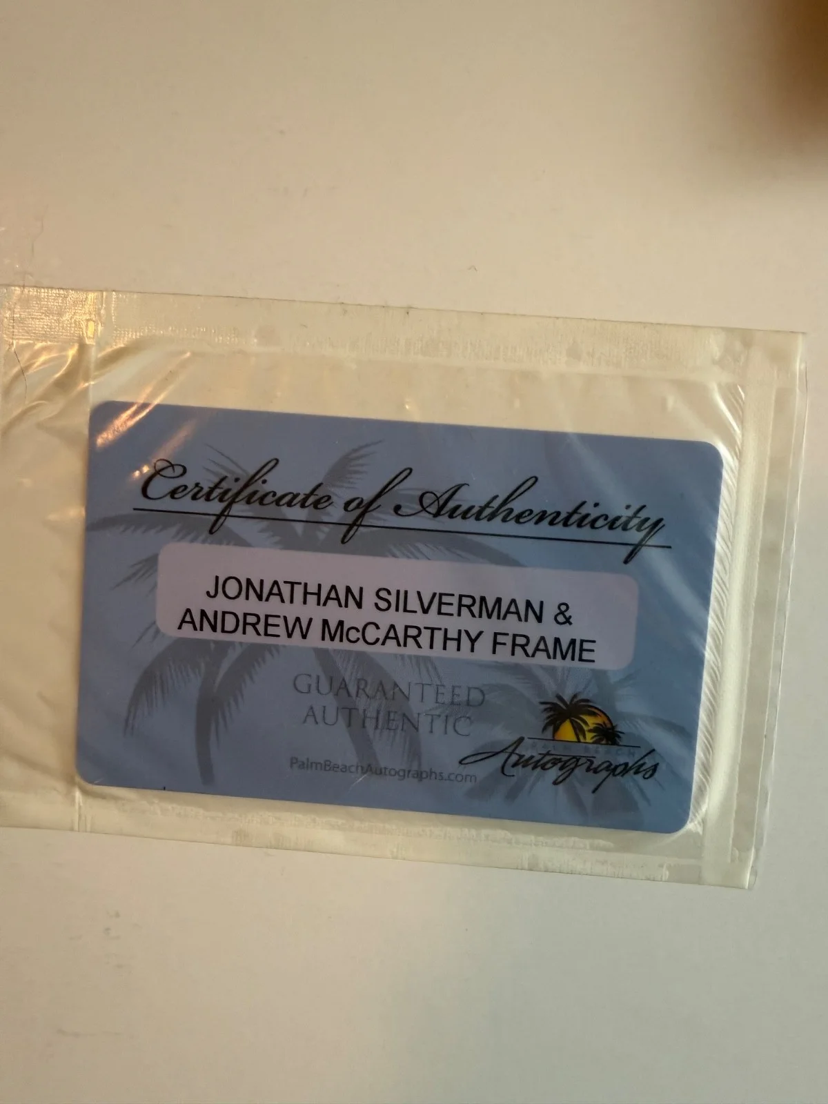 Jonathan Silverman and Andrew McCarthy Weekend at Bernies signed picture, image 4