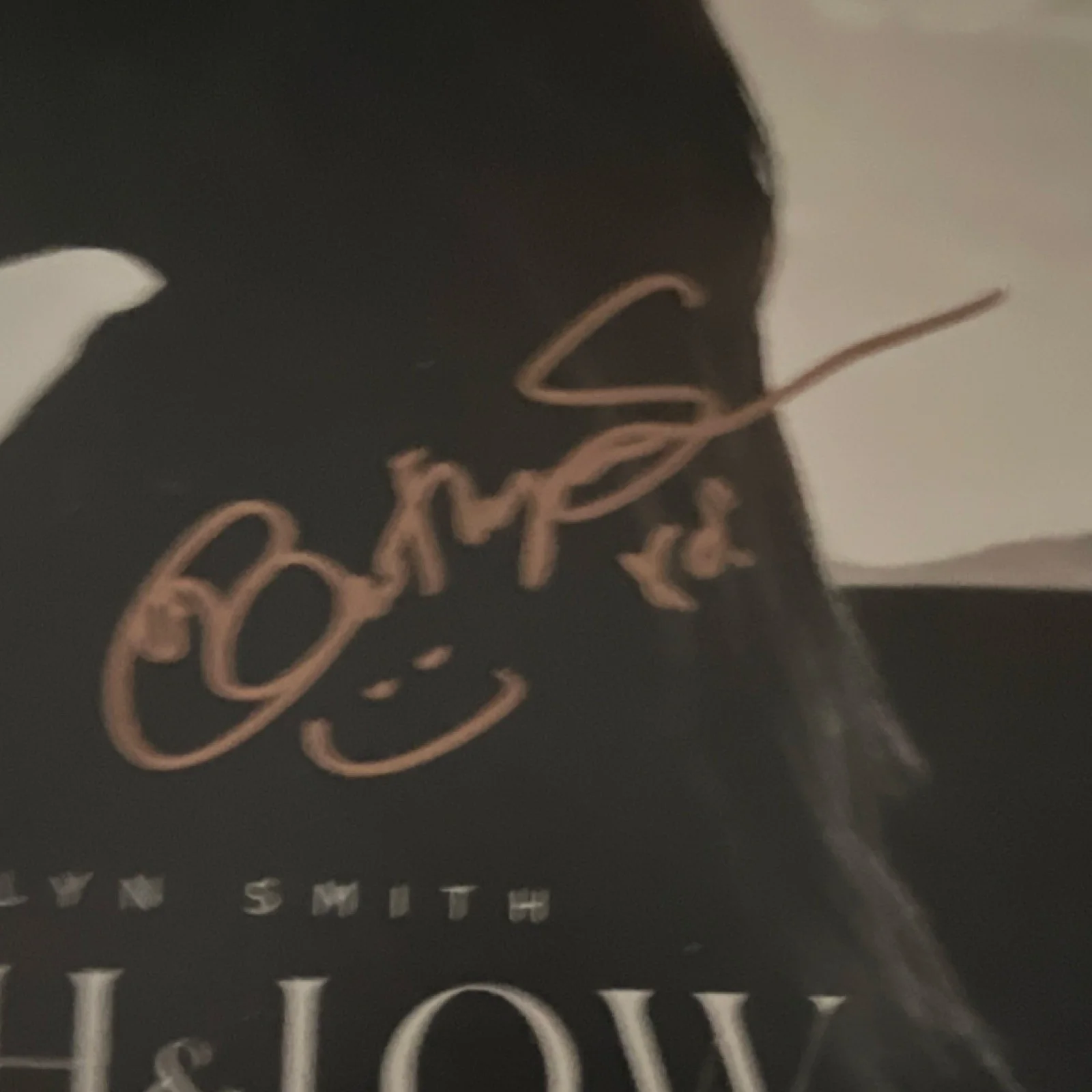 Caitlyn Smith High & Low Original Autographed Vinyl Record Music Industry, изображение 3