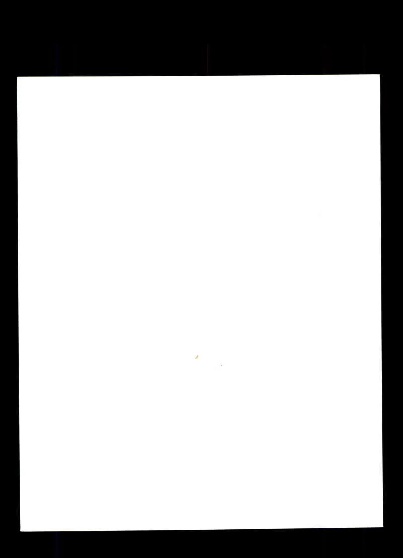 Tom Poston — Tom Poston JSA Cert Sticker Signed 8x10 Photo Autograph, image 2