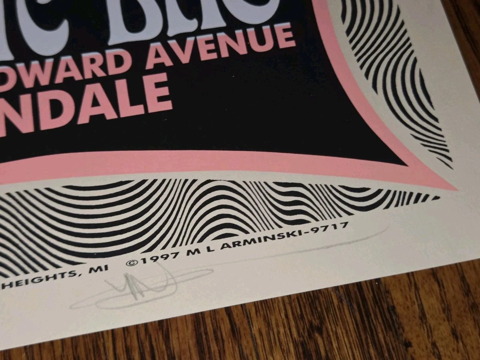 Jill Jack Sister Seed Concert Poster Magic Bag Michigan Signed Art Mark Arminski, image 3