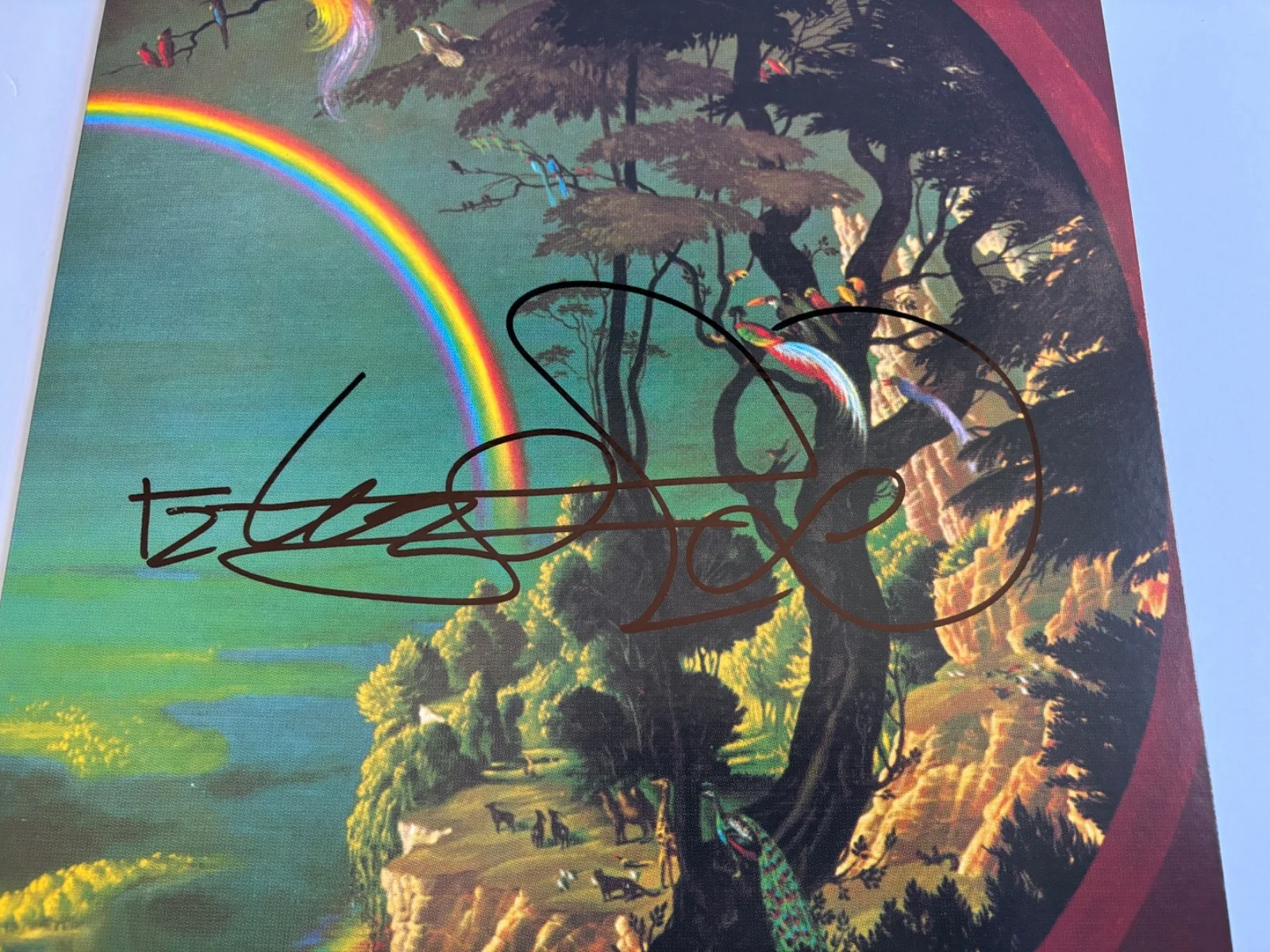 MASAYOSHI TAKANAKA SIGNED THE RAINBOW GOBLINS VINYL ALBUM JAPANESE GUITARIST JSA, изображение 3