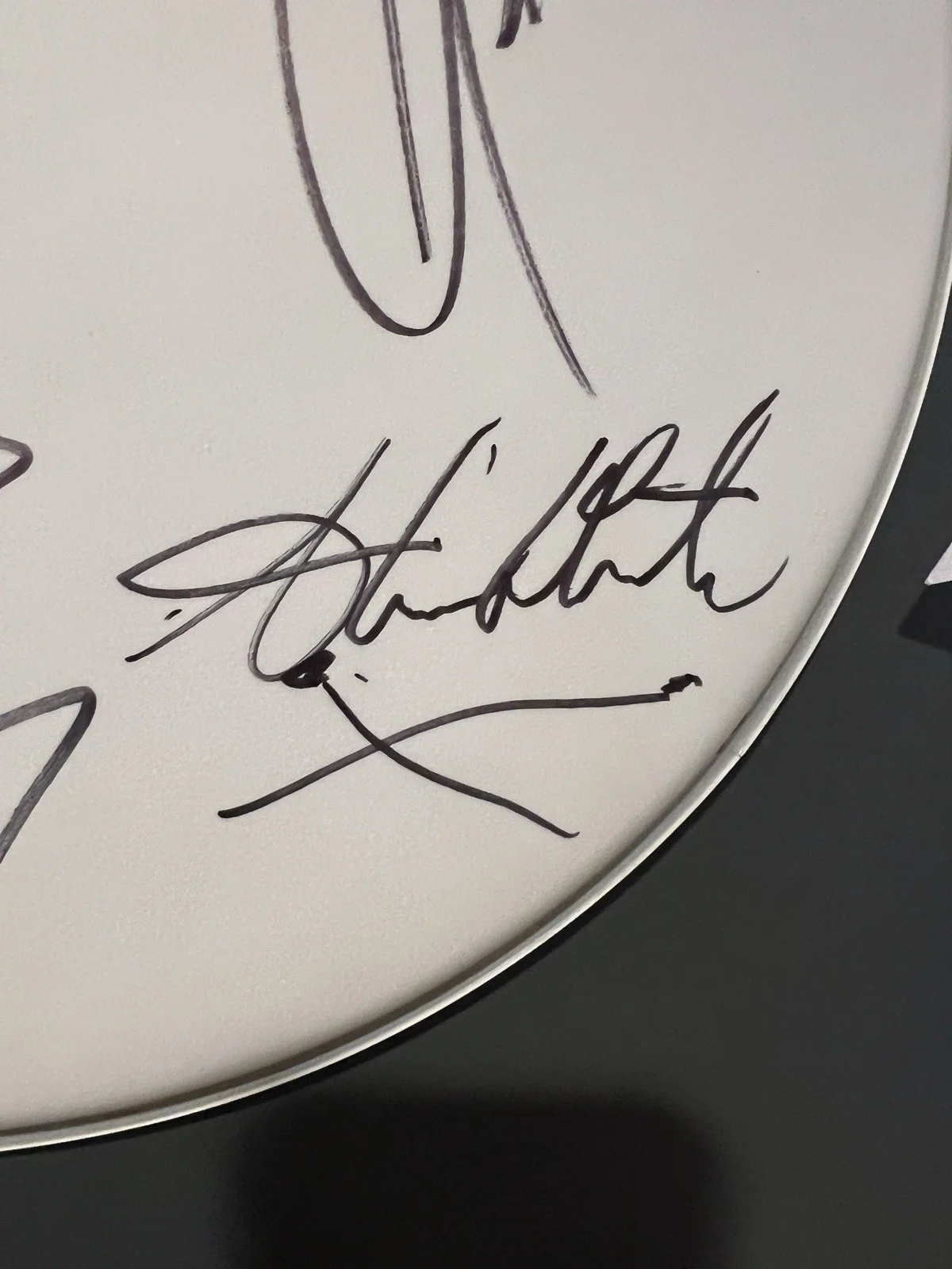 YES Autographed Signed DRUM HEAD STEVE HOWE,CHRIS SQUIRE,ALAN WHITE Full Band, image 2