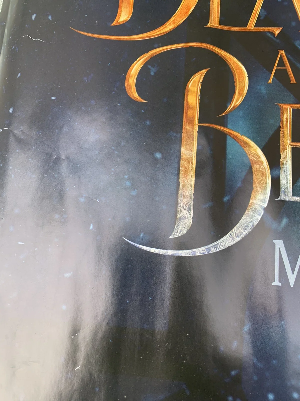 Cinema Poster: BEAUTY & THE BEAST ADVANCE Disney 2017 Emma Watson Red Rose, изображение 5
