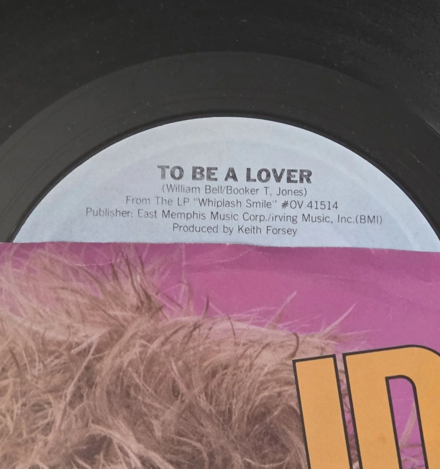 BILLY IDOL 45 RECORD DISPLAY JSA COA SIGNED MUSIC LOVER AUTOGRAPHED PRESENT GIFT, image 5