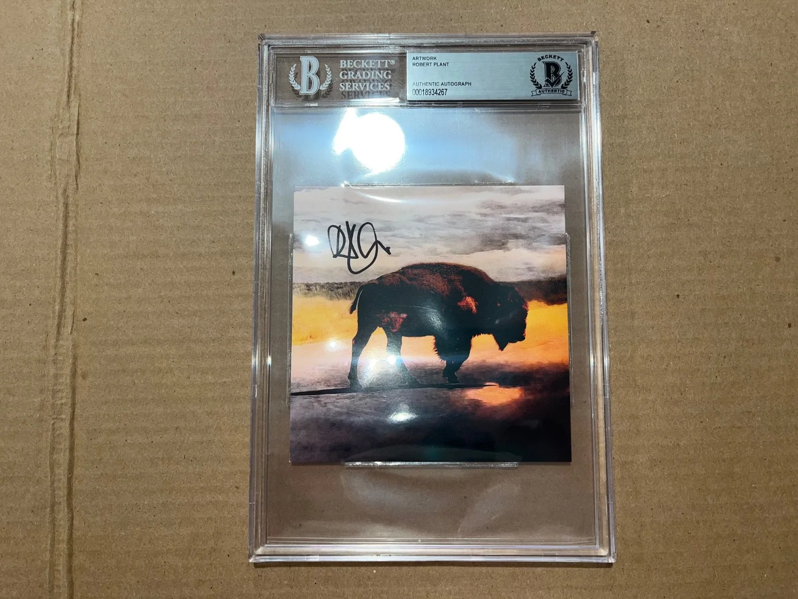Robert Plant Signed Autographed Beckett Slabbed Slab Encapsulated Autograph, изображение 2