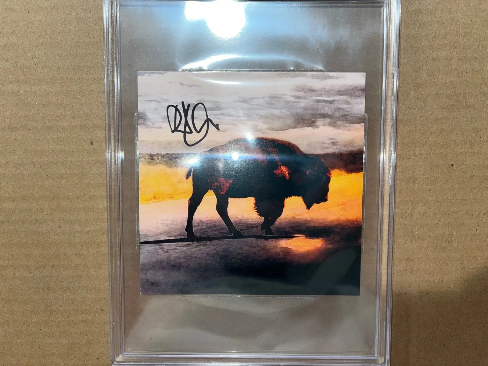 Robert Plant Signed Autographed Beckett Slabbed Slab Encapsulated Autograph, изображение 3