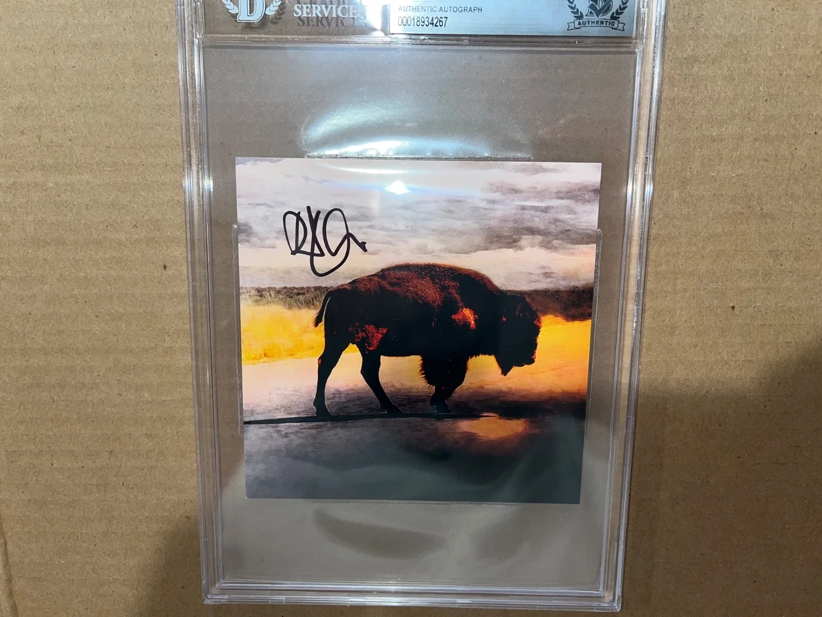 Robert Plant Signed Autographed Beckett Slabbed Slab Encapsulated Autograph, изображение 4