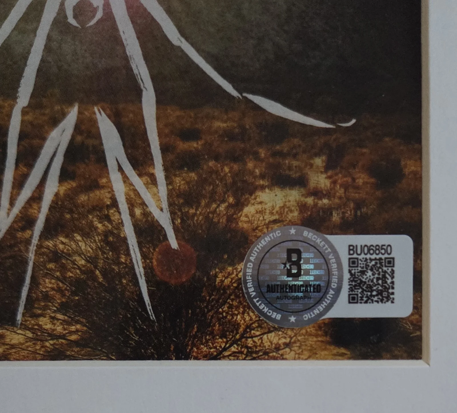 GERARD WAY CD DISPLAY AUTOGRAPHED BECKETT COA SIGNED MY CHEMICAL ROMANCE MCR, изображение 4