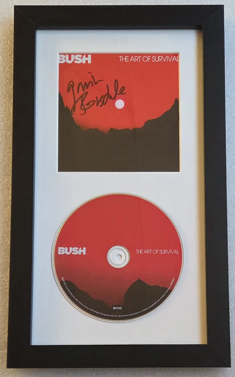 GAVIN ROSSDALE CD DISPLAY AUTOGRAPHED BECKETT COA BUSH BAND SIGNED PRESENT GIFT, image 2