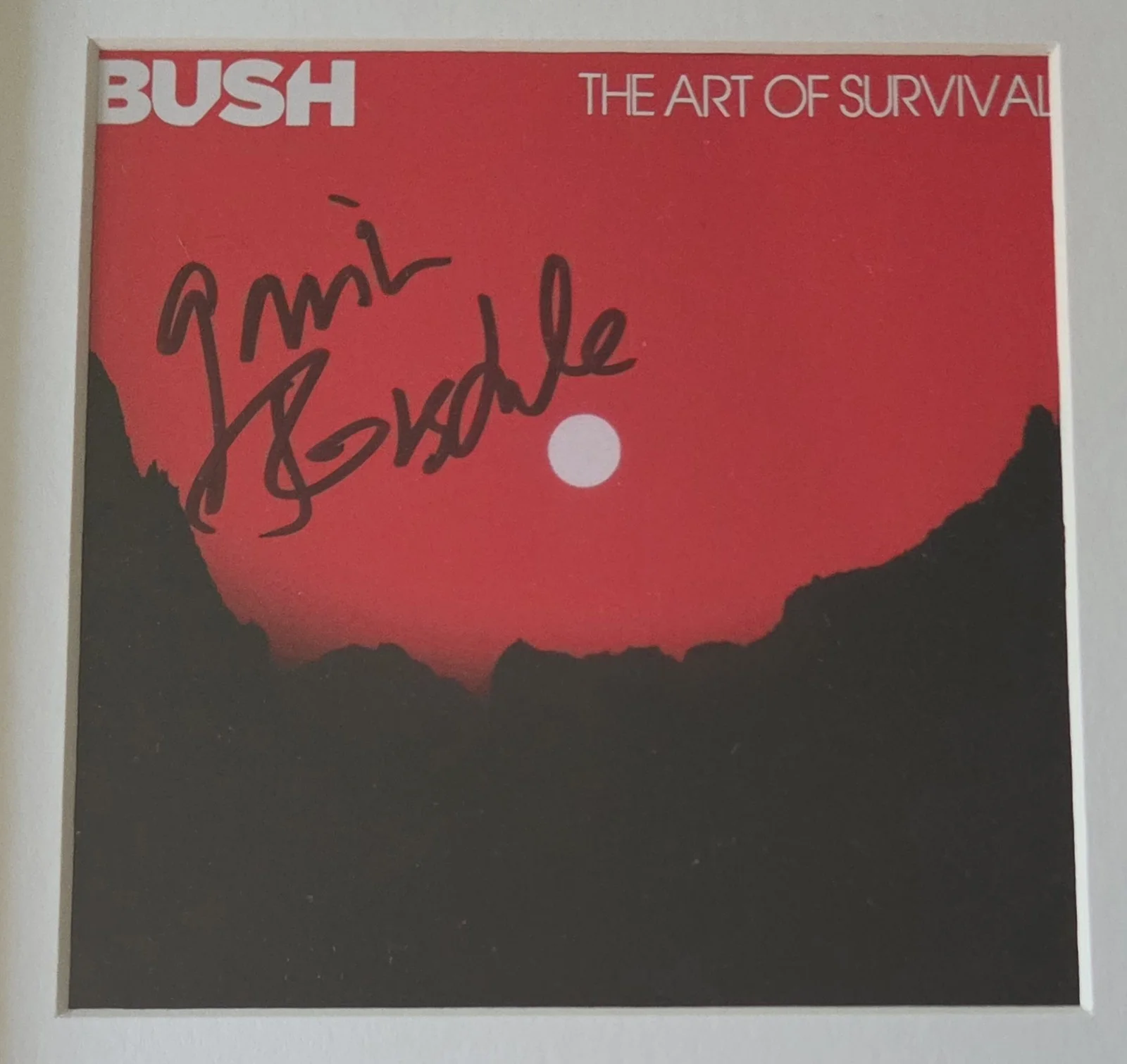 GAVIN ROSSDALE CD DISPLAY AUTOGRAPHED BECKETT COA BUSH BAND SIGNED PRESENT GIFT, image 3
