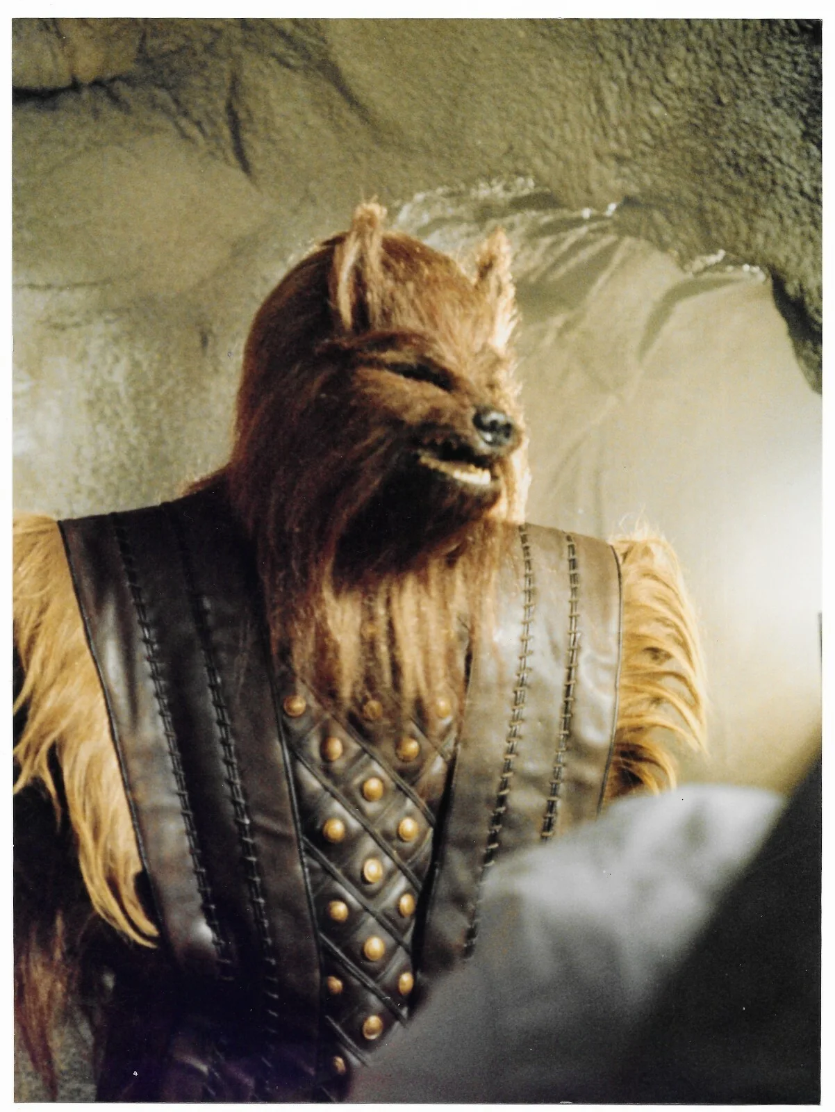Conquest Movie Press Photo Werewolf Monster Fantasy Lucio Fulci Film 1983, изображение 3