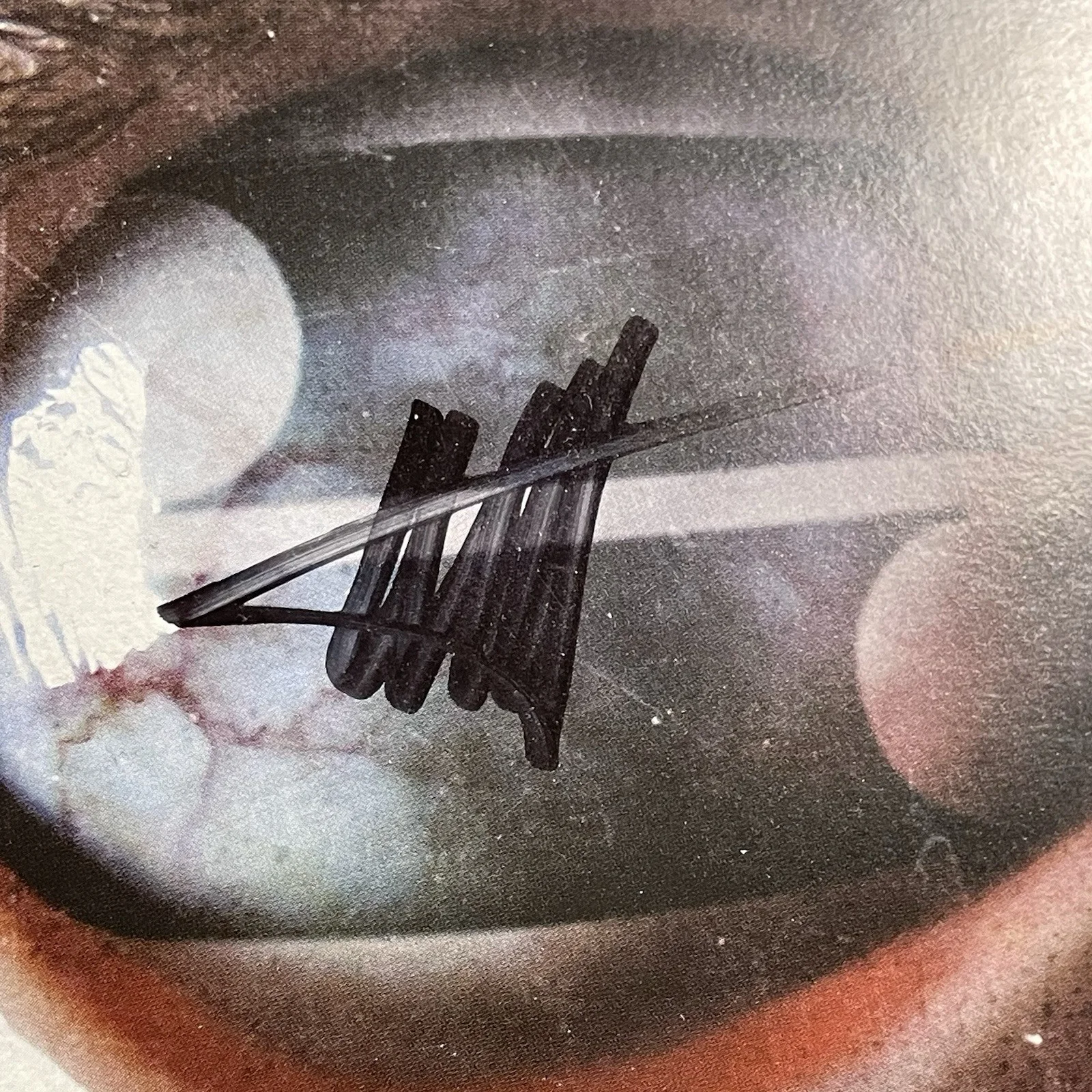 Filter Signed CD Insert Crazy Eyes Album Richard Patrick Autographed 2016, image 2