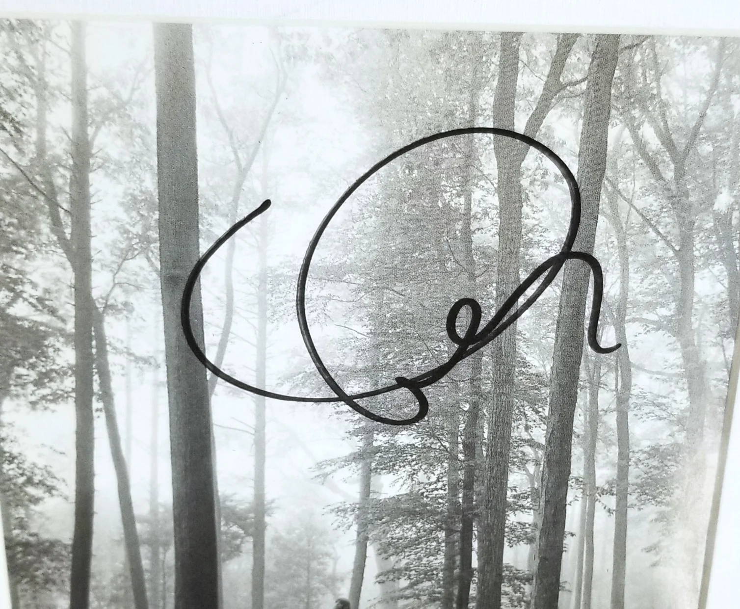 Taylor Swift REAL hand SIGNED Folklore CD Framed Display JSA COA Autographed, image 2