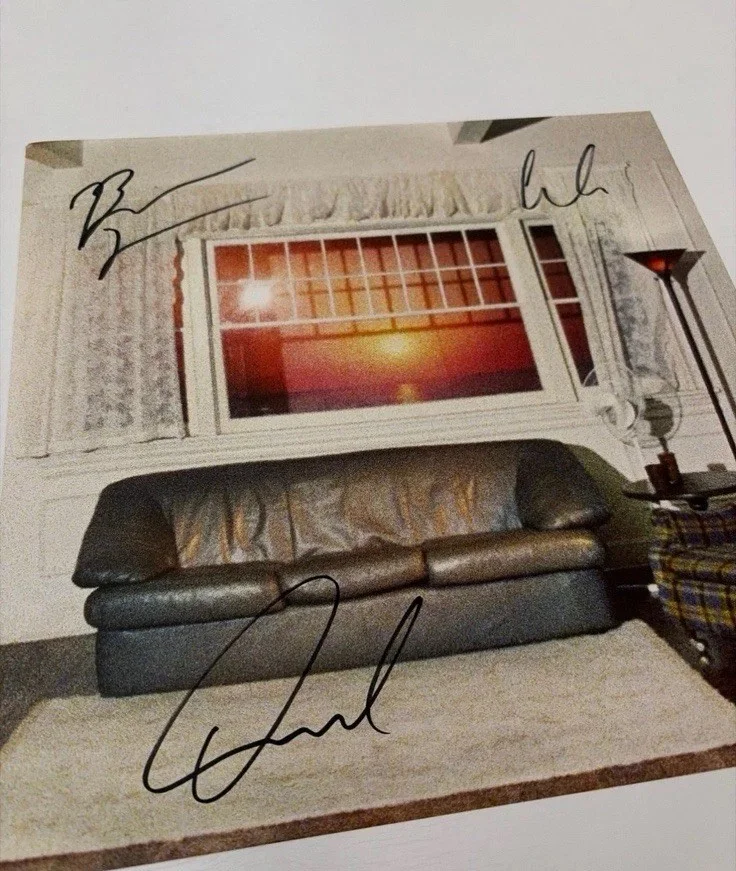 Wallows Model album signed 12x12 poster IN PERFECT CONDITION, image 2