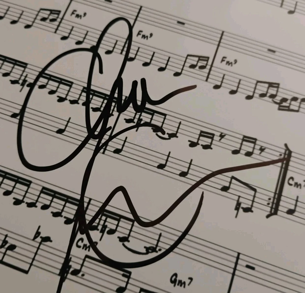 CHAKA KHAN ICON SINGER DIVA LEGEND SIGNED I'M EVERY WOMAN 8X10 PHOTO SHEET MUSIC, изображение 2